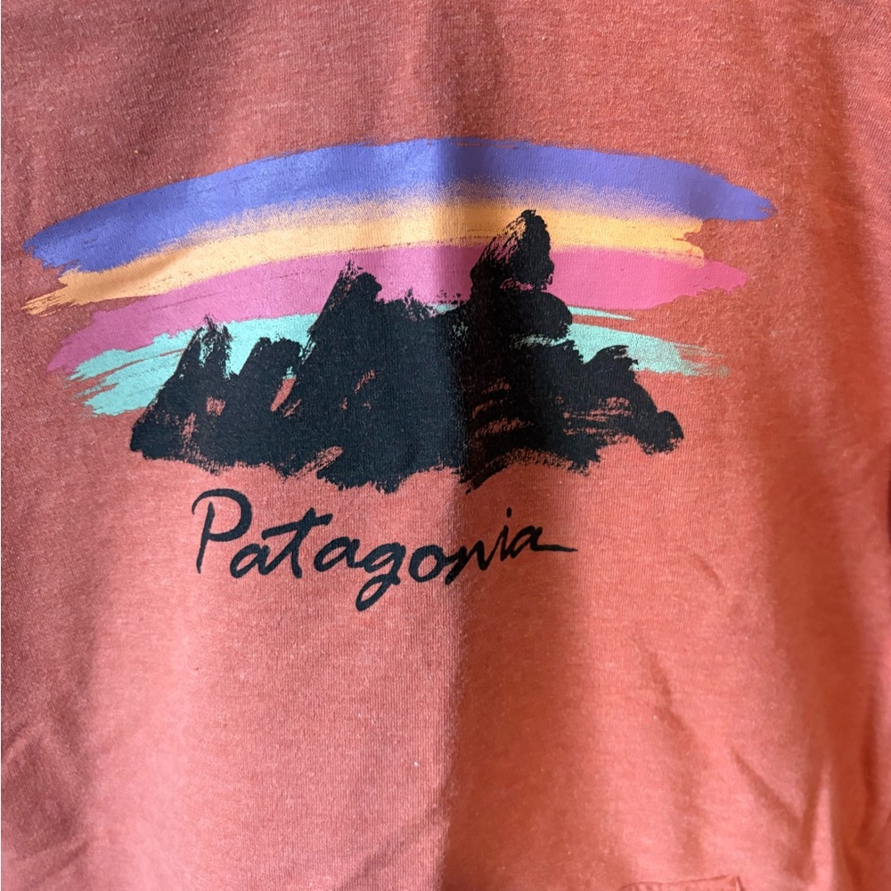 Patagonia Rust Orange Organic Cotton Sweatshirt